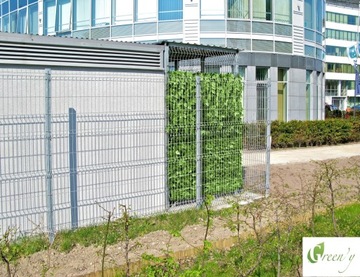Winobluszcz jasny sztuczny żywopłot osłona na ogrodzenie na balkon 1,5x3 m
