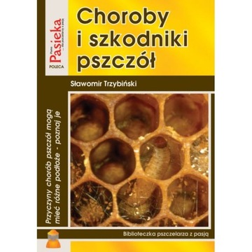 Książka 