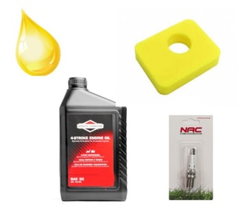 Zestaw Serwisowy Briggs & Stratton 450 OHV