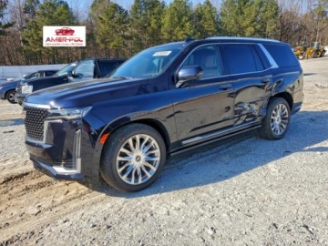 Cadillac Escalade III 2022 Cadillac Escalade Premium Luxury, 2022r., 4x4, 6.2L 6.2 Benzyna 420KM
