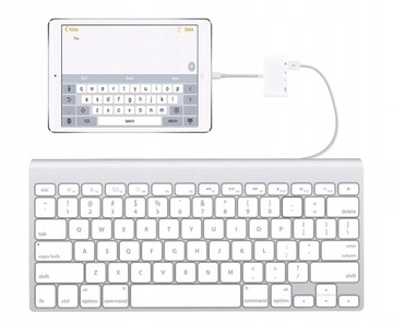 Устройство чтения карт SD Apple MJYT2ZM/A, белое