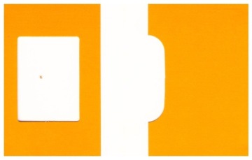 УНИВЕРСАЛЬНЫЕ ОБЛОЖКИ ДЛЯ ФОТО ID FV/LODŹ