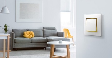 ДВОЙНОЙ ВЫКЛЮЧАТЕЛЬ СВЕТА В РАМКЕ ЭКРЮ