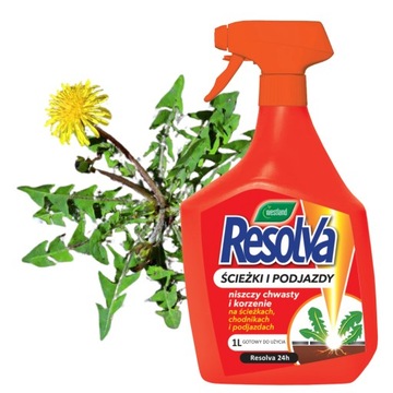 RESOLVA ŚRODEK CHWASTOBÓJCZY DO ŚCIEŻEK PODJAZDÓW GOTOWY DO UŻYCIA SPRAY 1L