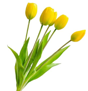 Tulipan silikonowy bukiet tulipany silikonowe
