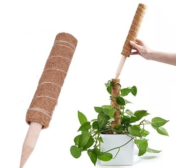 PODPÓRKA PALIK KOKOSOWY 30cm/45mm TYCZKA DO KWIATÓW MOŻLIWOŚĆ ŁĄCZENIA
