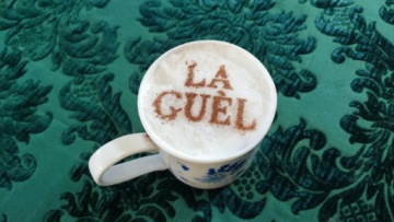 Дизайн логотипа шаблона кофе с какао-шоколадом