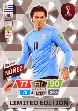 NUNEZ Limited karta mała World Cup QATAR 2022