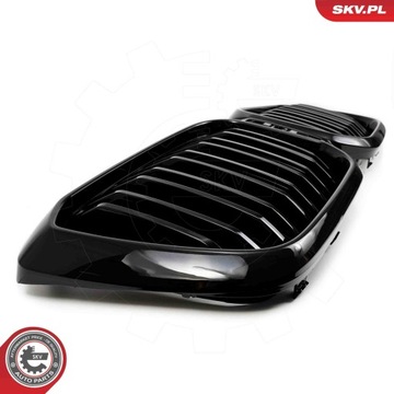 Гриль, почки 66SKV266