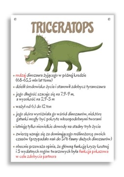 Tablica z dinozaurem - TRICERATOPS - dinozaury A3
