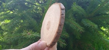 Деревянные диски, 300 шт., 2-7 см, брусочки, ломтики.