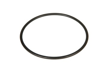Uszczelka ORING korpusu pompy WZ 750 omnigena gr