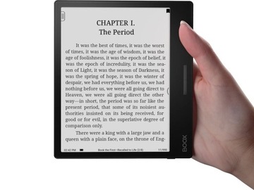 Электронная книга ONYX BOOX Page Black