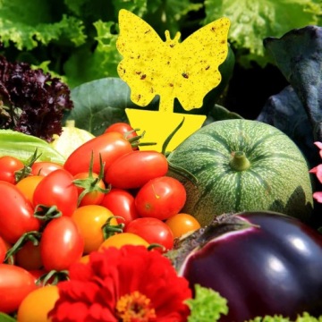 ПАП ДЛЯ ТЕПЛИЧНЫХ ГОРШКОВ ОТ ТЛИ, НАЗЕМНЫХ КРУЖЕК, МУРАВЕЙ, МУРАВЬЕВ, 12 ШТ.