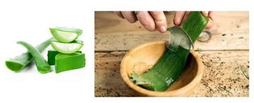 РОЖДЕСТВЕНСКИЙ НАБОР КОСМЕТИКИ ДЛЯ ТЕЛА И ВАННЫ АЛОЭ