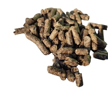 WYSŁODKI BURACZANE NIEMELASOWANE 25 KG dla koni