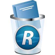 Revo Uninstaller Pro 1PC - licencja dożywotnia wersja instalator