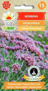 Werbena patagońska - nasiona 0,2g