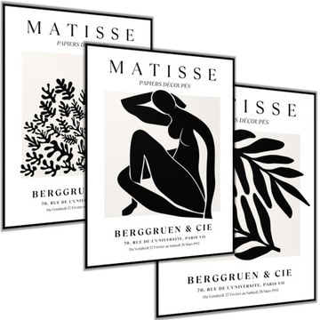3 x PLAKAT 40X50 ART MATISSE SZTUKA MODERN ABSTRAKCJA LIŚCIE KWIATY LIŚĆ