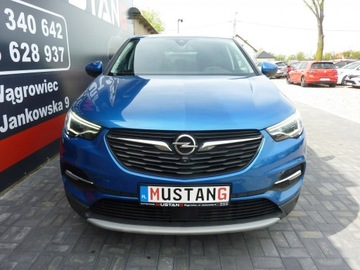 Opel 2019 Opel Grandland X Benzyna*Navi*Kamery, zdjęcie 1