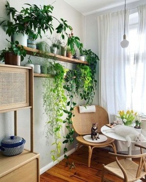 ПОЧВА ДЛЯ ДОМАШНИХ ЗЕЛЕННЫХ РАСТЕНИЙ И ПАЛЬМ 20л