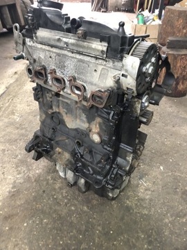 03L021BJ MOTOR 1.6 TDI 77 2012 VW JETTA MK6 (162 163)