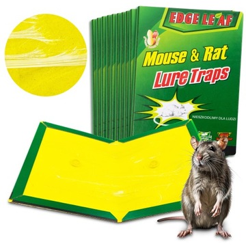 10× MYSZOŁAPKA LEP ŁAPKA PUŁAPKA przeciwko myszom