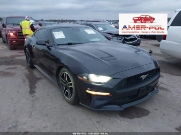Ford Mustang VI 2022 Ford Mustang Ecoboost, 2022r., 2.3L 2.3 Benzyna 310KM