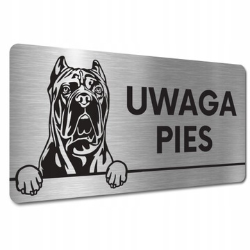 TABLICZKA UWAGA ZŁY PIES Cane Corso GROŹNY PIES TABLICZKA UWAGA ZŁY PIES
