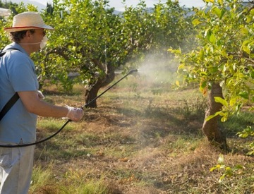 АККУМУЛЯТОРНЫЙ ЭЛЕКТРИЧЕСКИЙ ОПРЫСКИВАТЕЛЬ РЮКЗАК САДОВЫЙ ОПРЫСКИВАТЕЛЬ 18 Л