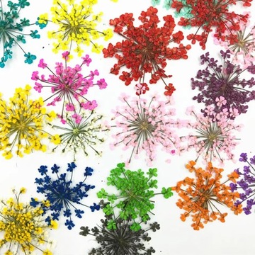 Высушенные цветы на ногтях украшения гибридные искусственные цветы кассета