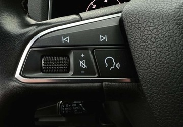 Seat Tarraco SUV 2.0 TDI 190KM 2020 Seat Tarraco full LED 2.0 TDI 4x4 virtual bezwypadkowy Xcellence kame, zdjęcie 28