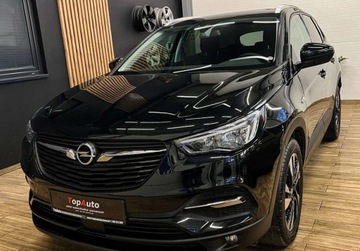 Opel 2019 Opel Grandland X 130 KM manual BEZWYPADKOWY gwarancja ZAREJESTROWANY, zdjęcie 12
