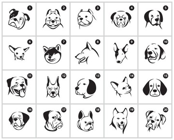 Табличка «ВНИМАНИЕ СОБАКА» 10х10 см – разные породы на выбор