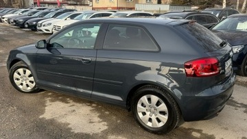 Audi A3 8P Hatchback 3d 1.6 TDI 105KM 2010 Audi A3 3-drzwiowe 1.6TDi OPŁACONY Bezwypadkowy, zdjęcie 1