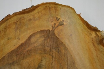 Кусочек каштана после сушки в помещении 58х48 см Поднос для доски