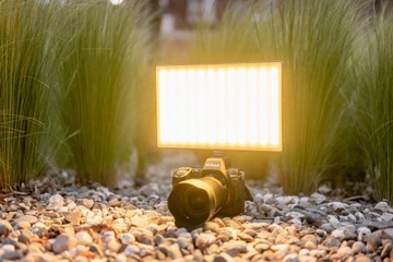 Светодиодная лампа Newell RGB-W Rangha Max XL