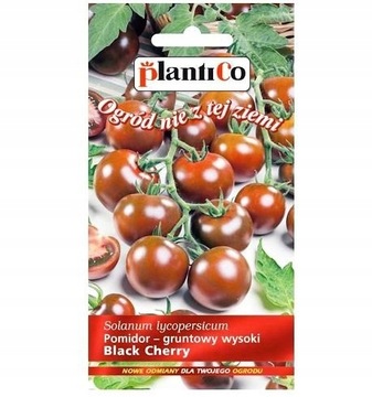POMIDOR KOKTAJLOWY BLACK CHERRY NASIONA 200mg