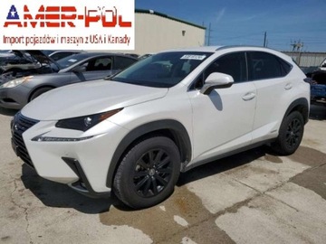 Lexus NX I 2020 Lexus NX 2020 Lexus NX NX 300h AWD 2.5 Benzyna 194KM