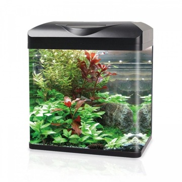 INVITAL EasyTank PRO LED 16 L z filtracją czarny