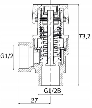 SAFE VALVE CO 1/2
