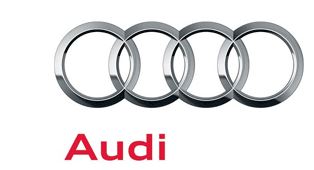 Audi OE 8E0121321 Трористический бак пробка