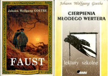 CIERPIENIA MŁODEGO WERTERA GOETHE + inne lektury