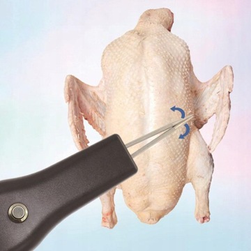 Электрический ощипыватель птицы