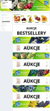 ПРОФЕССИОНАЛЬНЫЙ МАГАЗИН ALLEGRO – НАБОР ИЗ 18 ГРАФИК