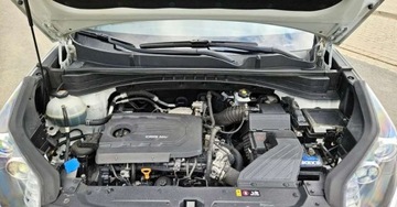 Kia Sportage III SUV Facelifting 1.7 CRDi 115KM 2016 Kia Sportage 1.7 CRDI Nawigacja PL Ledy Klimatronik 1.7 Diesel 115KM, zdjęcie 26