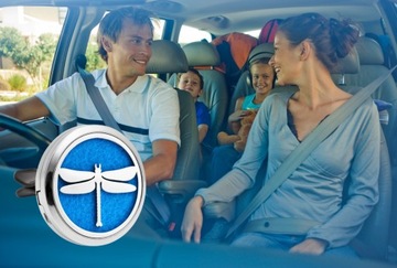 Автомобильный диффузор HEALTHY DRAGONFLY для масел