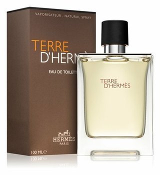 Hermes TERRE D'HERMES woda toaletowa EDT 100 ml