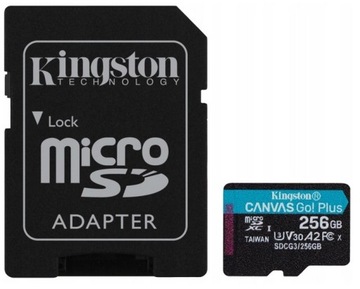 SDG3/256 ГБ KINGSTON 256 ГБ SDXC Canvas Go Plus