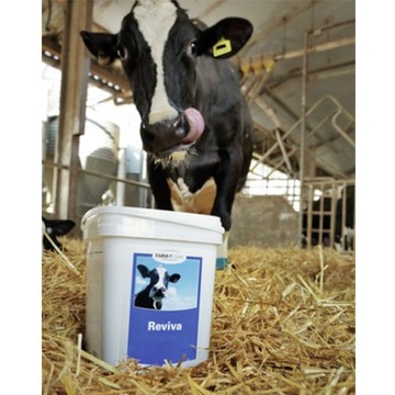 Дополнительный корм Farm-O-San Reviva 1 кг